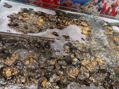 -亚马逊海鲜自助(梅溪湖步步高店)