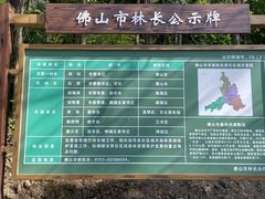 -顺峰山公园