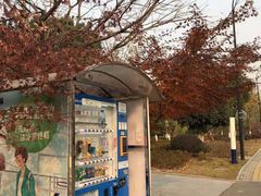 -杭州星辰网球俱乐部(草地店)