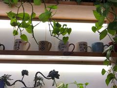 -爸爸糖手工吐司(苏州环球188店)