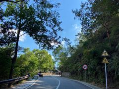 -梧桐山风景名胜区