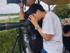 -南汇嘴观海公园