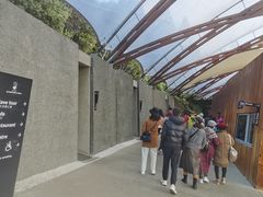 -怀托摩萤火虫洞