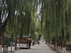 -张掖大佛寺景区