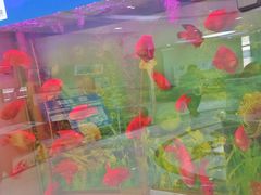 -雅悦齿科(顾村公园店)