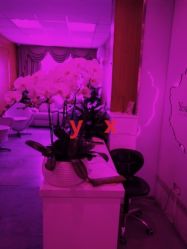 -Yestar杭州艺星医疗美容医院