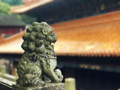 -普陀山风景名胜区-法雨禅寺