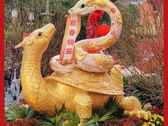 -越秀西湖花市(广州城市广场花卉店)