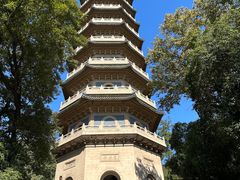 -灵谷景区
