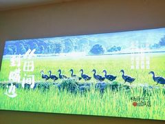 -杨厨的田园饭店(长城路店)