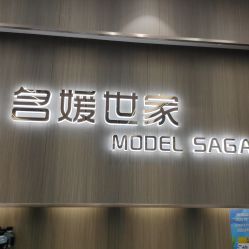 -MODEL SAGA名媛世家