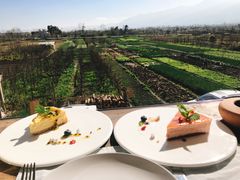 -翠田Green Field Kitchen