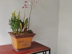 -柳侯公园