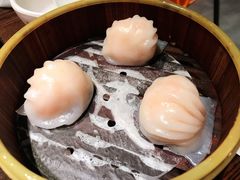 南拳虾饺皇-南拳十三姨·潮汕砂锅粥(世纪金源店)