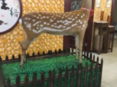 -老百姓大药房(江南店)