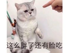 -1点点(晒布店)