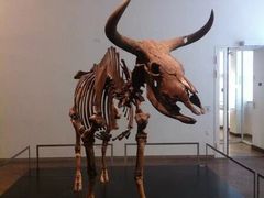 -丹麦国家博物馆