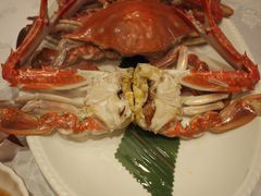 飞蟹-万宝海鲜舫(劳动公园店)