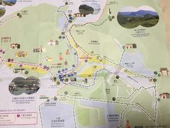 -大澳