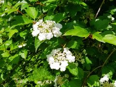 -哈尔滨北方森林动物园