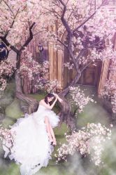 点击看大图 -金夫人婚纱摄影(华南店)