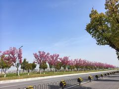 -浦口码头(轮渡站)