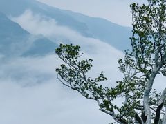 -神农山景区