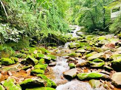 -碧峰峡风景区