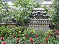 -南宫五洲植物乐园