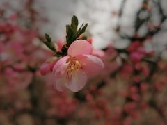 -荣祥广场