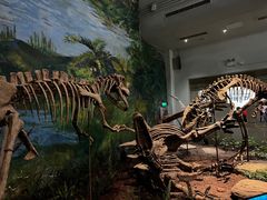 -自贡恐龙博物馆