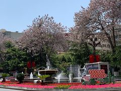 -金城公园
