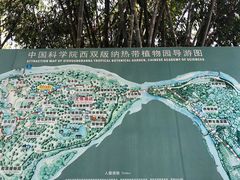 -中国科学院西双版纳热带植物园
