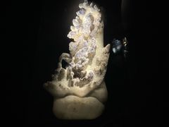 -深圳珠宝博物馆