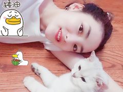 -瑞派宠物医院·24小时骨科·心脏·核磁(哈尔滨南岗店)