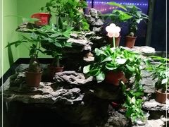 -天怡·鱼工厂(临江店)