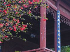 -广元千佛崖