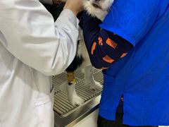 -萌兽医馆·宠物医院·猫骨科(创景店)