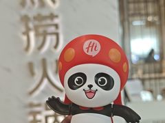 -海底捞火锅(中州万达店)