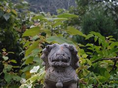 -青岛崂山太清宫