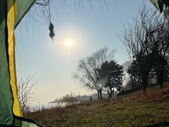 -西京湾花海