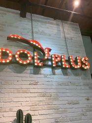 -IDOL-PLUS
