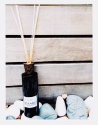 -SCENT BOUTIQUE