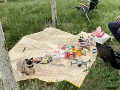 -西青郊野公园