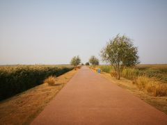 景点-官港森林公园