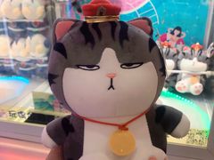 -PAWTOY爪e玩偶店(天兴罗斯福店)