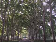 -河南省黄河迎宾馆