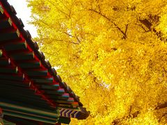 -承恩寺
