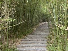 -竹林寺