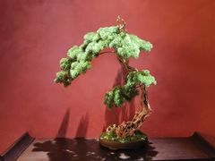 -全聚德(双井店)